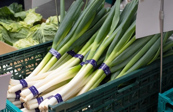 業務用の野菜 | 大分のネギなら佐藤農園